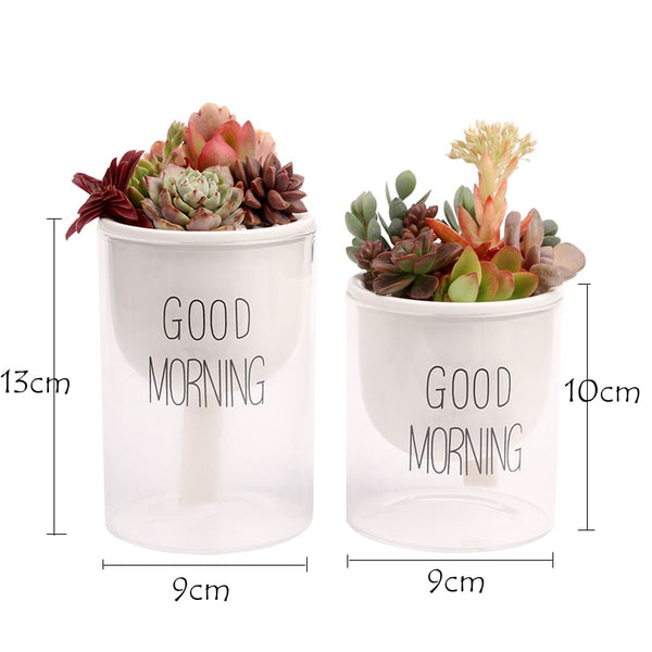 Automatic Watering Planter Pot  indoor plant